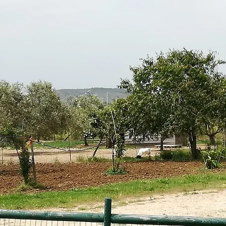 Centro D Capalbio
